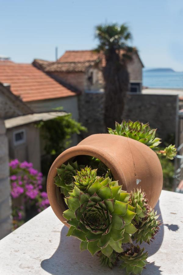 Amaizing Apartment Near Airport Kaštel Štafilić Exteriör bild
